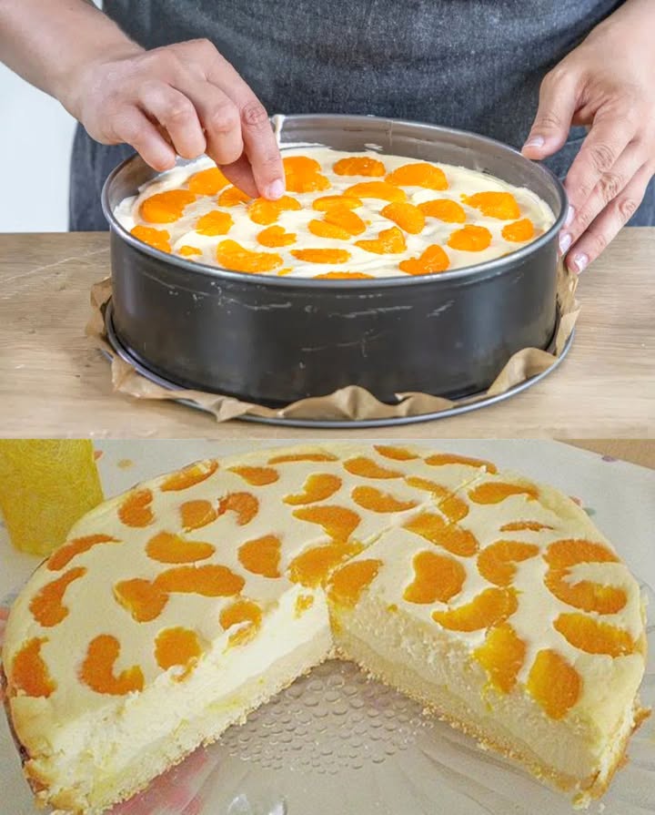 Fantastische cheesecake met mandarijnen in 5 minuten klaar!
